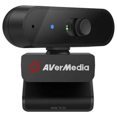 AVer AverMedia PW310P