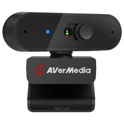 AVer AverMedia PW310P