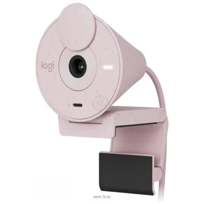 Logitech Brio 300 pink