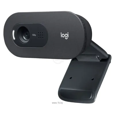 Logitech HD Business Webcam C505e