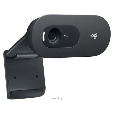 Logitech HD Business Webcam C505e