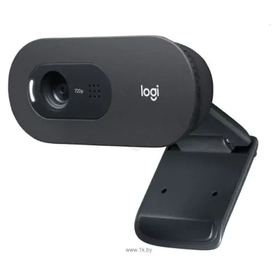 Logitech HD Webcam C505