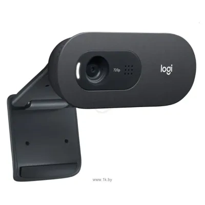 Logitech HD Webcam C505