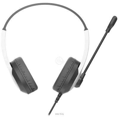 A4Tech Fstyler FH100U