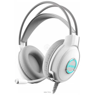 A4Tech Fstyler FH300U