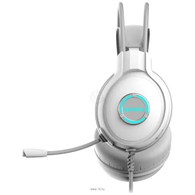 A4Tech Fstyler FH300U