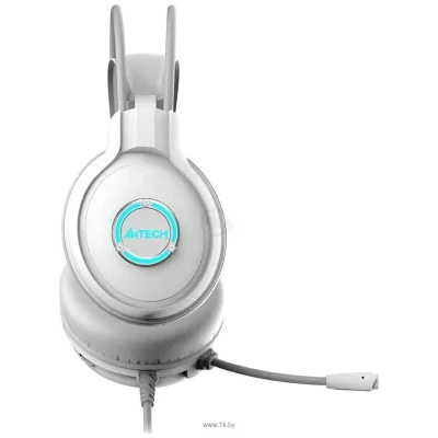 A4Tech Fstyler FH300U